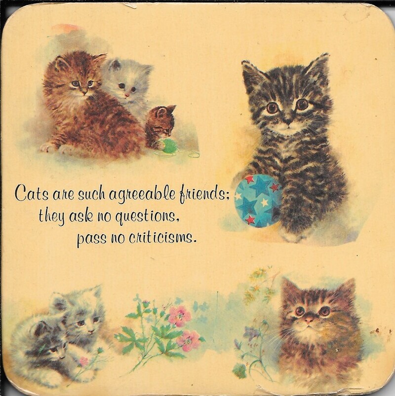 Cardboard Cat Coaster